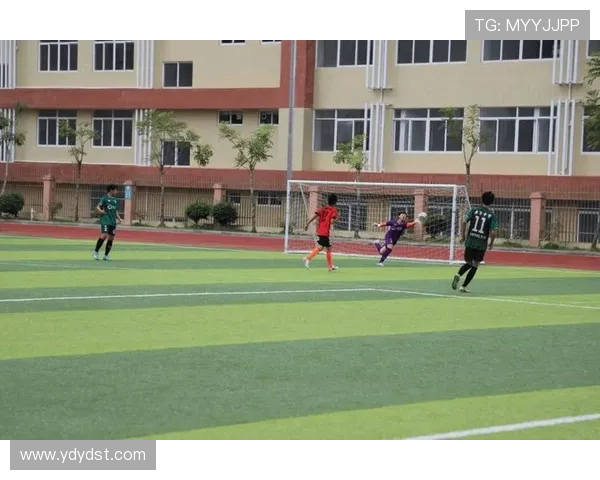 楠木铺足球明星队携手共创辉煌赛季展现青春活力与团队精神